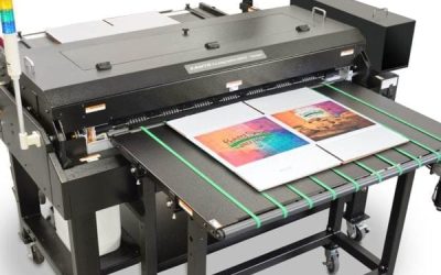 ARTIKEL: DIE WELT IM WANDEL